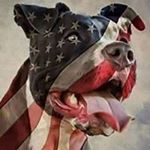 Profile Picture of Larry Collier (@larrybcollier) on Instagram