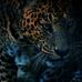 Profile Picture of Ralph Dunlap (@Ralph-Dunlap) on Facebook
