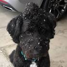 Profile Picture of   Depri police 👈🏻... (@keanvip.exe) on Tiktok