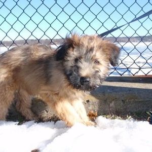 Profile Picture of Kasey Currier (@kaseyjc) on Myspace