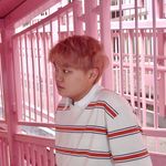 Profile Picture of Carlton Chan 陳諾文 (@carltonchan__) on Instagram