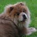 Profile Picture of Joan Kleinhenz (@ko5l) on Pinterest