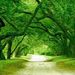 Profile Picture of Crystal Hartzog (@c6hartzog) on Pinterest