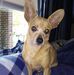 Profile Picture of Renee Conroy (@renee.conroy.372) on Facebook