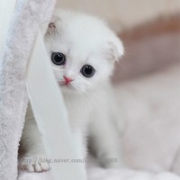 Profile Picture of Mario Larsen (@mario-larsen-1) on Quora