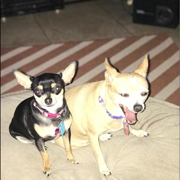 Profile Picture of Jean Foster (@jfost2) on Poshmark