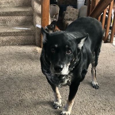 Profile Picture of Tyler Kersey Huffman (@HuffmanKersey) on Twitter