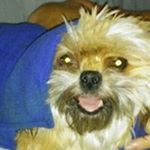 Debra OwenWasher - Instagram Profile Picture of Debra OwenWasher (@owenwasher) on Instagram