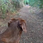 Profile Picture of Ralph Englert (@ralphke) on Instagram