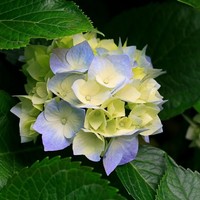 Profile Picture of Shayla Hayes (@shayla-hayes) on Quora