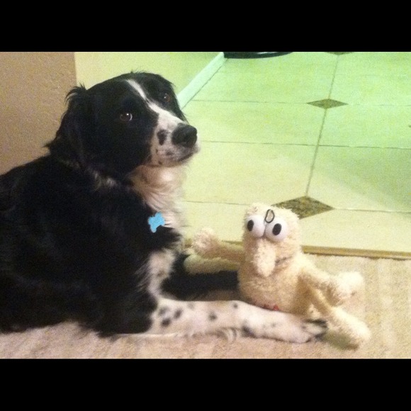 Profile Picture of Rosemary Chee (@rosemaryc) on Poshmark