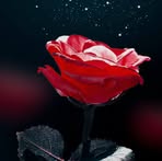 Profile Picture of Fahmida Qureshi (@Fahmida-Qureshi) on Facebook