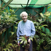 Profile Picture of The Merwin Conservancy (@themerwinconservancy7448) on Youtube