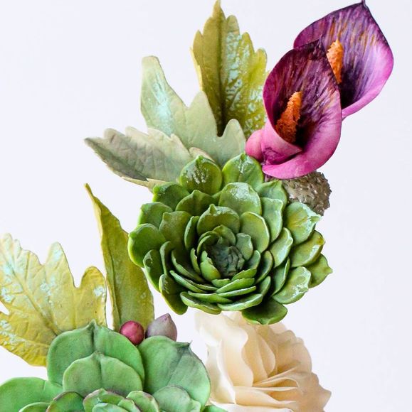 Profile Picture of Lisa Cunningham (@lisac587) on Poshmark