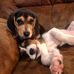 Profile Picture of Kim Zimmerman (@kim.zimmerman.129) on Facebook