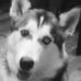 Profile Picture of Анна Отц Овская (@Анна-Отц-Овская) on Facebook