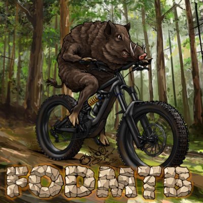 Profile Picture of Forest Of Dean MTB (@FoDmtb) on Twitter