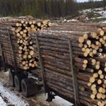 Profile Picture of Lance Nygaard (@nygaardlance) on Instagram