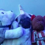 Profile Picture of Connor Laycock (@connor_michael_laycock) on Instagram