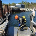 Craig Yost - Instagram Profile Picture of Craig Yost (@aquanaut_rebel) on Instagram