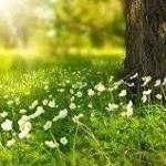 Profile Picture of Jacqueline Freeman (@j.m.freeman) on Instagram