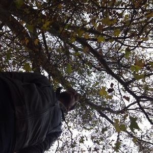 Profile Picture of Eduardo Verdugo (@campas_Edu) on Twitter