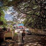 Herbert Machchi Jr. - Facebook Profile Picture of Herbert Machchi Jr. (@Herbert-Machchi-Jr) on Facebook