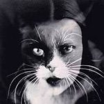 Profile Picture of Mari Yoshimura (@juniper_la_chatte) on Instagram