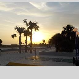 Profile Picture of Sylvia Lacey (@sdlacey88) on Twitter