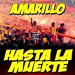 Profile Picture of Carlos Naula (@naula.carlos) on Instagram