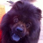 Profile Picture of Brandon Shankle (@b_shanks76) on Instagram