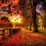 Profile Picture of Maryam Irshad (@irshad3789) on Instagram