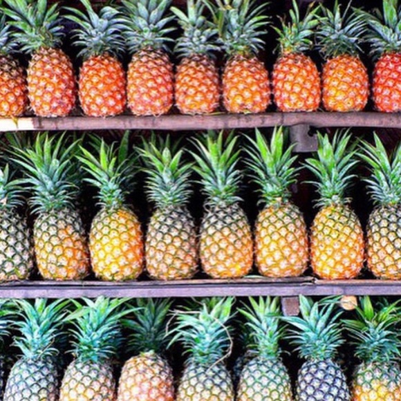 Profile Picture of Jaden julianne Fox (@juliannesbtq) on Poshmark