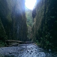 Profile Picture of Cody Suggs (@cody-suggs-5) on Quora