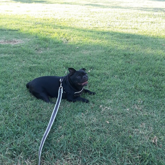 Lesly Flores - Poshmark Profile Picture of Lesly Flores (@lely30) on Poshmark