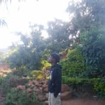 Profile Picture of Peter Thomas (@Peter-Thomas) on Facebook