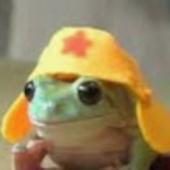 Profile Picture of Beans Heffley (@tacoshrek784) on Poshmark