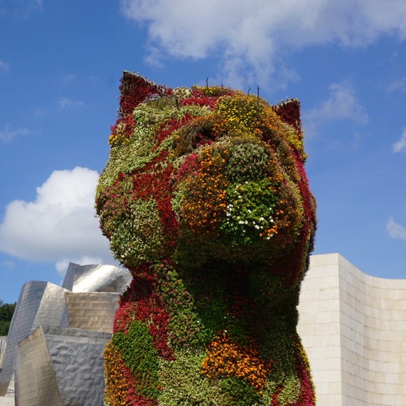 Profile Picture of Devin Minnick (@aeso) on Poshmark