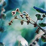 Profile Picture of Adam Linardi (@adamlinardi_photography) on Instagram
