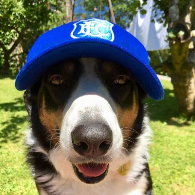 Profile Picture of Mark Tipton (@MarkTipton3) on Twitter