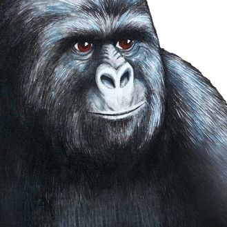 Robert Morley - Tiktok Profile Picture of Robert Morley (@robertmorley1) on Tiktok