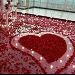 Profile Picture of Mojgan javadi (@mor.5926) on Instagram