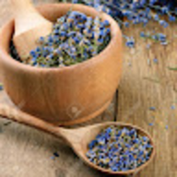 Profile Picture of Michaela Flanders (@bunheaddreamer) on Poshmark