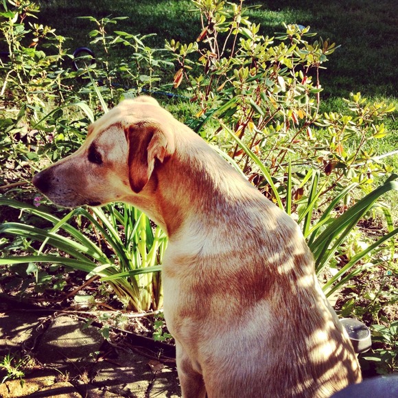 Profile Picture of Paulina Skowron (@pskowron) on Poshmark