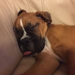 Profile Picture of Luke Goodrum (@goodrumluke) on Instagram