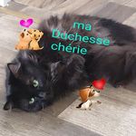 Profile Picture of Laly Alexandre Muradian (@lalyalexandremuradian) on Instagram