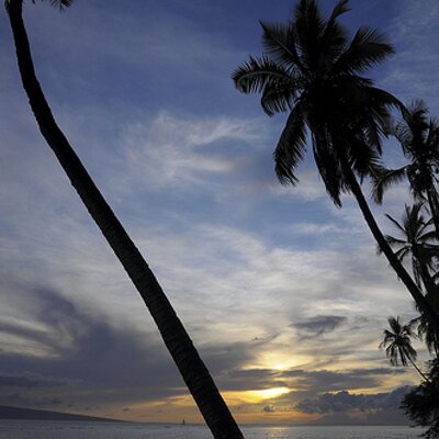 Profile Picture of Marina Cinelli (@maricraig) on Twitter