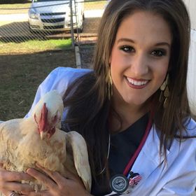 Profile Picture of Logan Lambert (@loganleigh19) on Pinterest