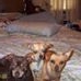 Profile Picture of Rita Brodie Burke (@rita.b.burke.9) on Facebook