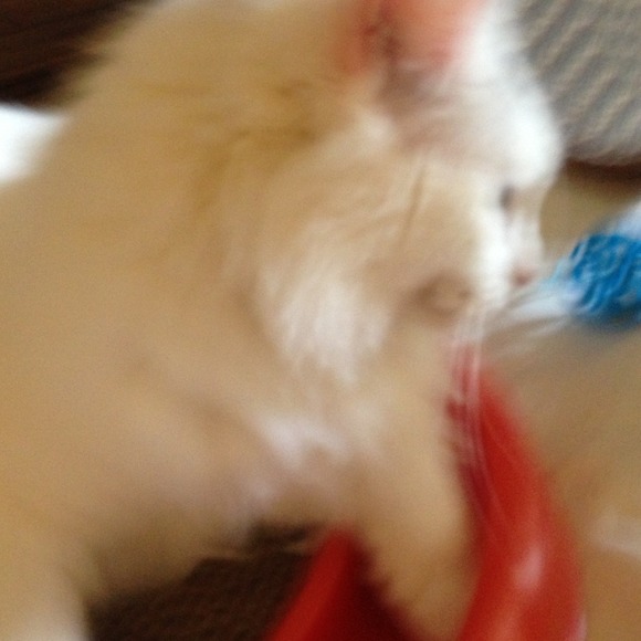 Profile Picture of Judy Mcclenaghan (@judymc01) on Poshmark